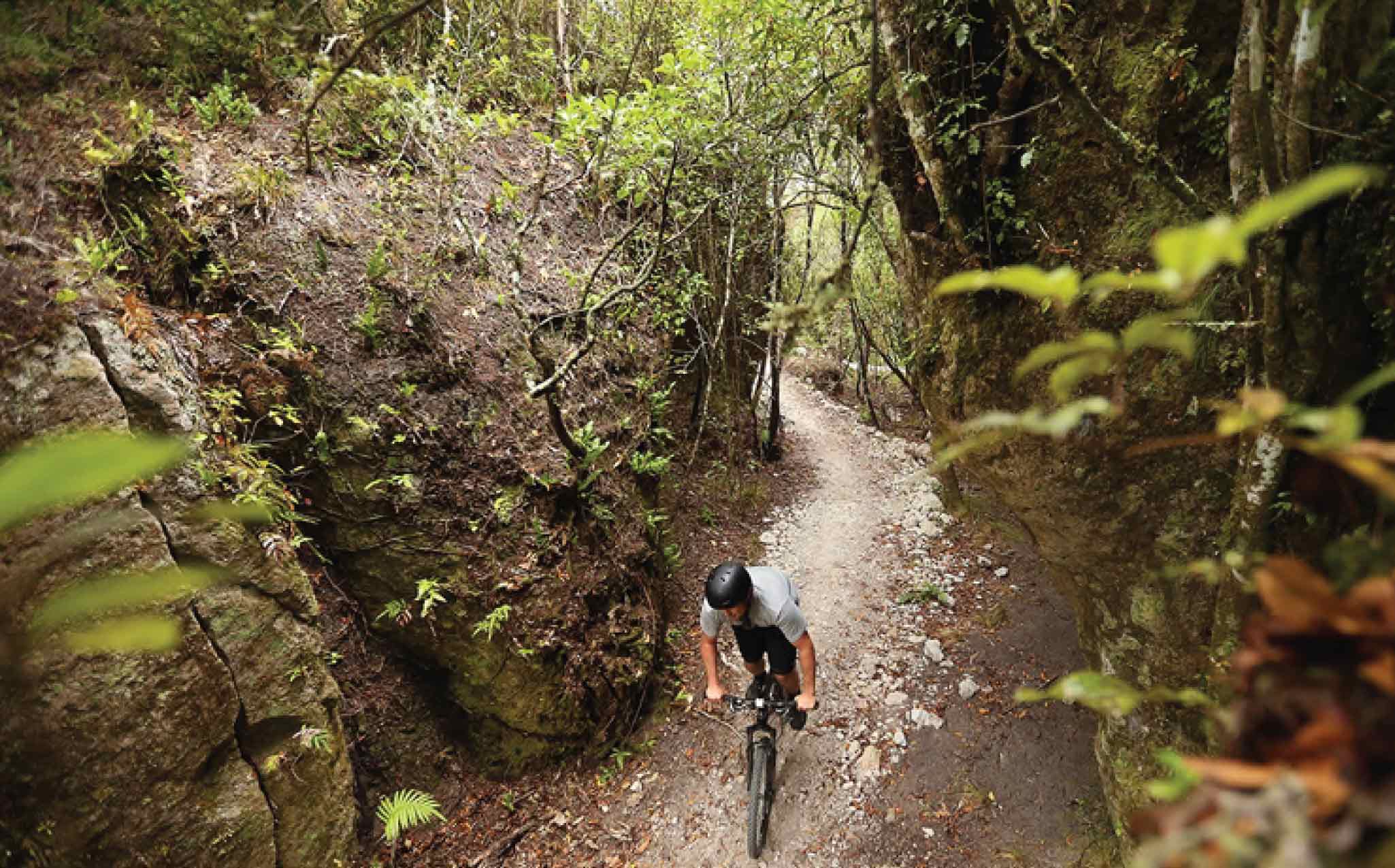 Taupo Great Lake Trail Cycling Tour Taupo Great Lake Trail Cycling Tour