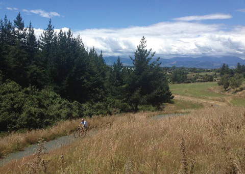 Tasman's Great Taste Trail Cycling Tour Tasman's Great Taste Trail Cycling Tour