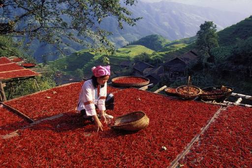 local-people-guilin-yangshuo-china-tour local-people-guilin-yangshuo-china-tour