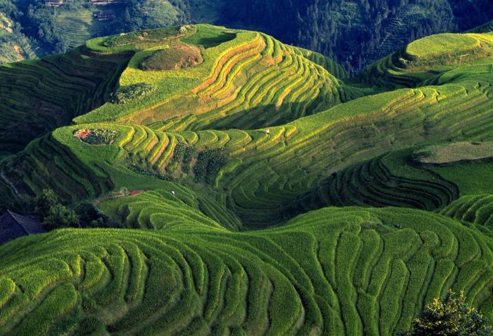 rice-terraces-guilin-china-walking-tour rice-terraces-guilin-china-walking-tour