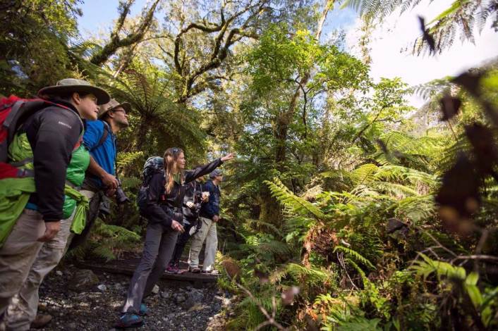 Fiordland Walk heritage track Fiordland Walk heritage track