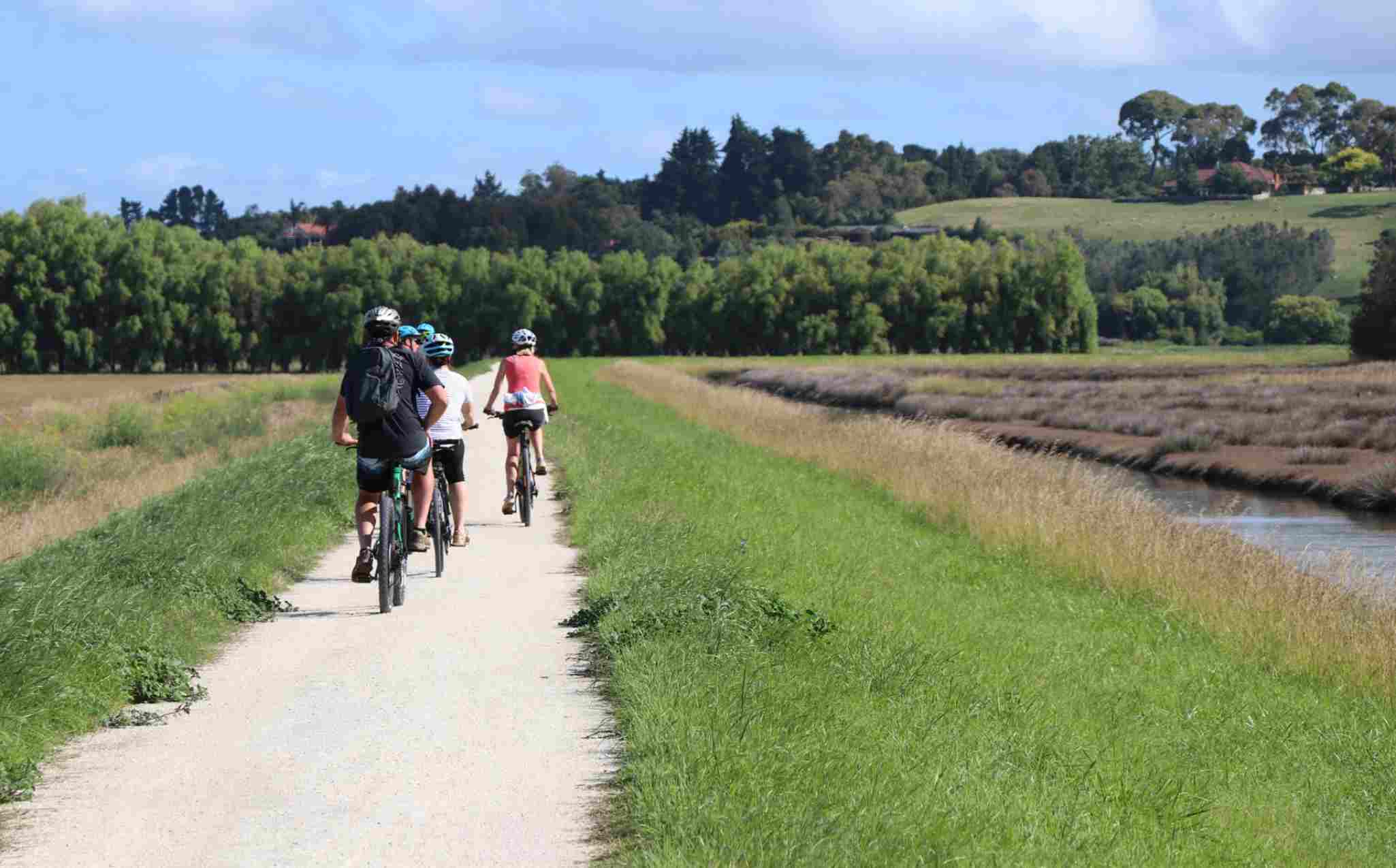 New Zealand Ahuriri Estuary Trail New Zealand Ahuriri Estuary Trail