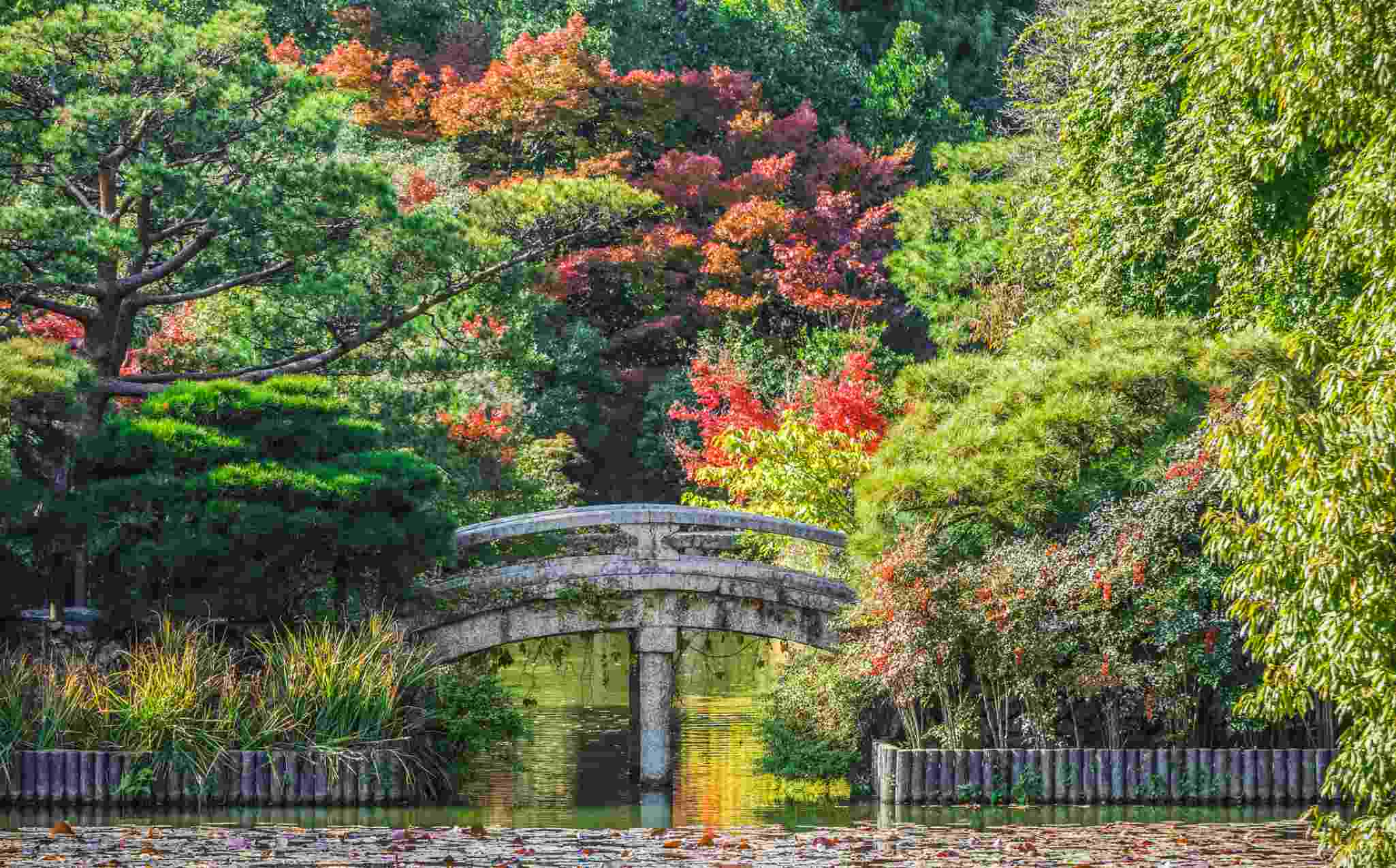Kyoto Garden Kyoto Garden