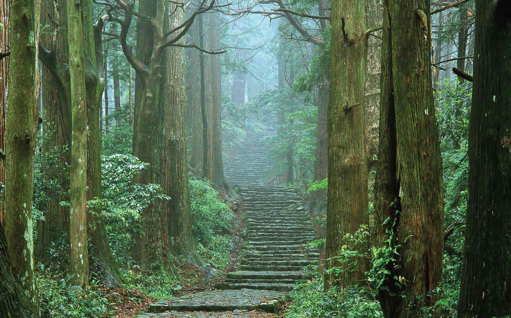 Daimon-zaka Daimon-zaka