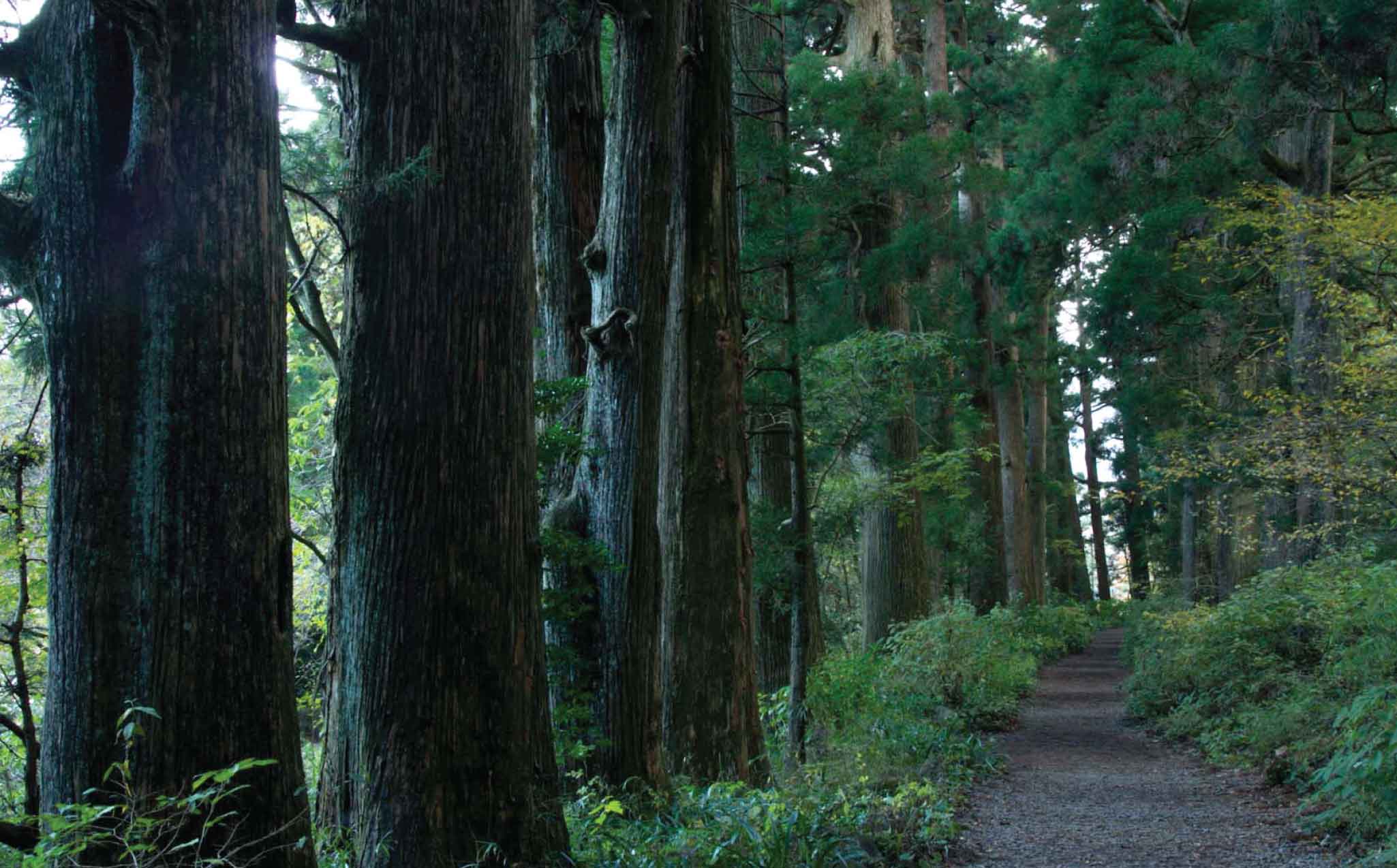 Old Tokaido Road Old Tokaido Road