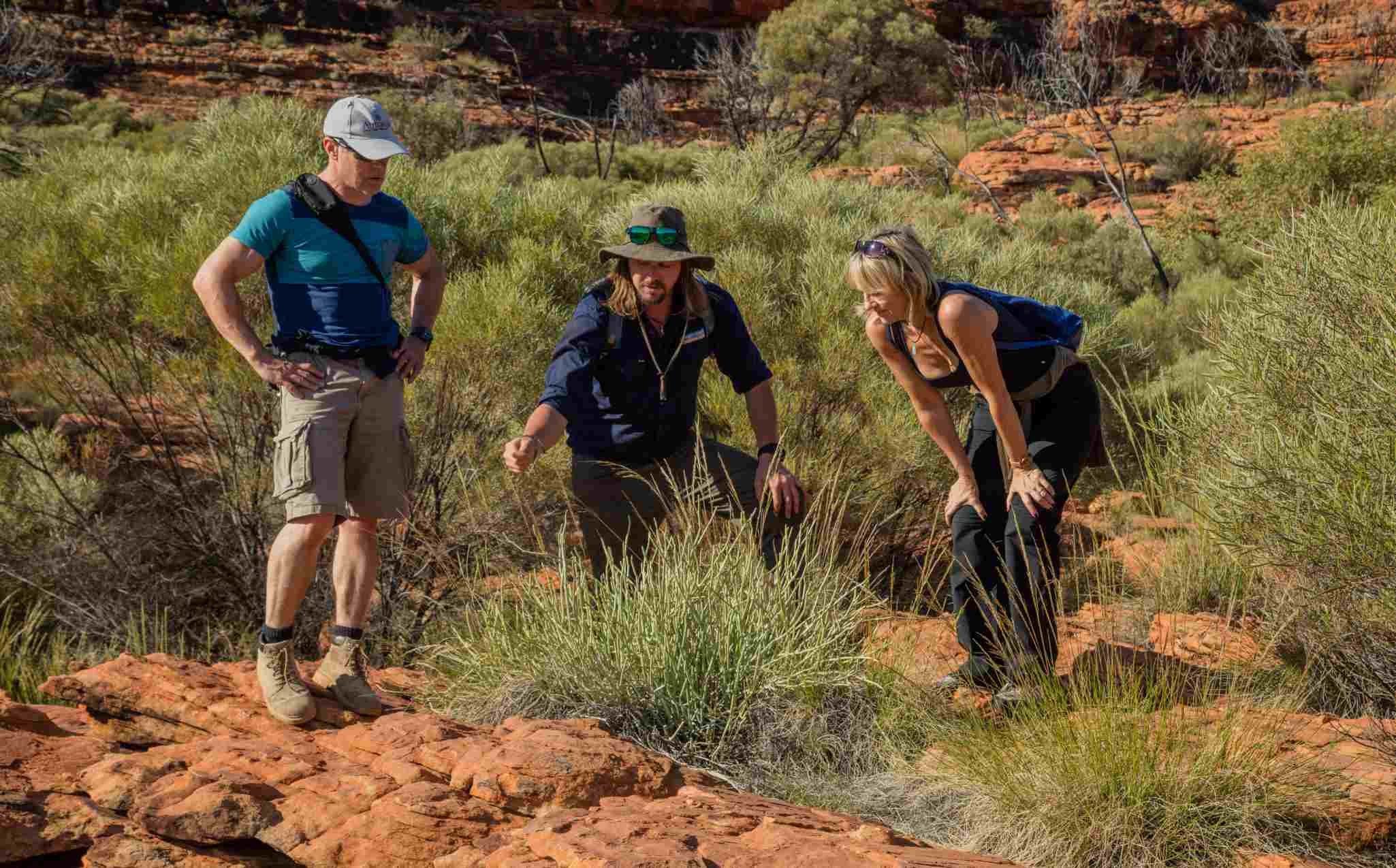 Kings Canyon Walk Kings Canyon Walk