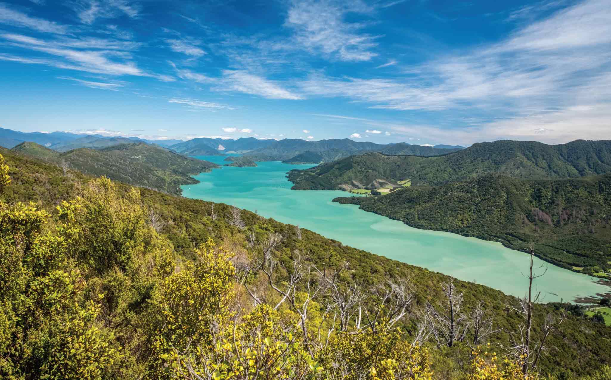 Queen Charlotte Track The Ultimate Luxury Walk 4D3N Self Guided Bay
