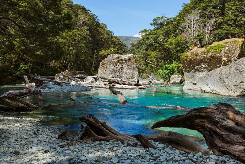 Queenstown Walk Routeburn Track Routeburn River Queenstown Walk Routeburn Track Routeburn River