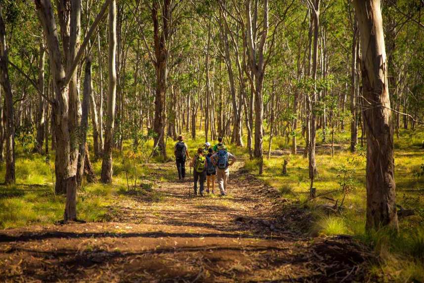 Scenic Rim Trail Walk Queensland Bushwalk Scenic Rim Trail Walk Queensland Bushwalk