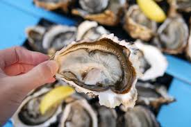 Freycinet Oyster Marine Farm Tasting Freycinet Oyster Marine Farm Tasting