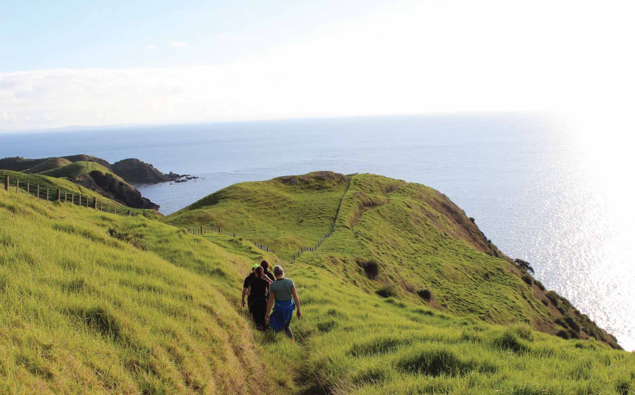 The Coromandel Coastal Walkway The Coromandel Coastal Walkway